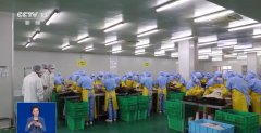 <b>各地是若何进行监管的？食物添加剂是为改善食</b>
